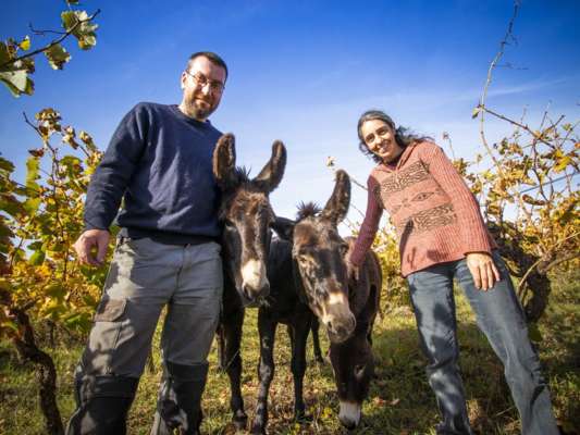 Ecole de kitesurf Glisse et Kite