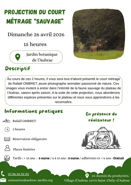 Projection du court métrage 