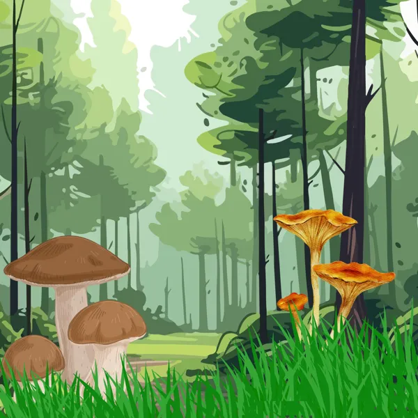 Semaine de la biodiversité : Théâtre 