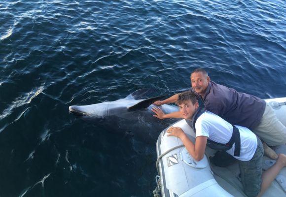 Cedric Lagrifoul - Voiles et Traditions 4