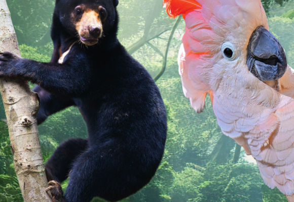 2025_Visuel°Trégomeur_150_244mm