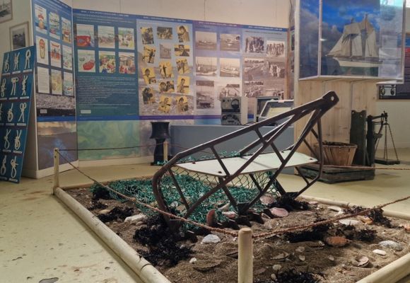 Coquille Saint-Jacques