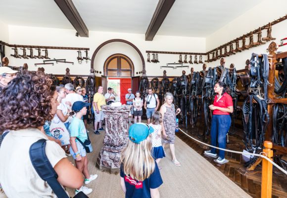 L'Oeil de Paco - Trophées22 - Haras de Lamballe 2023 (30)