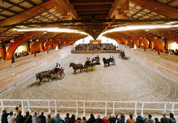 Spectacle-julietteBanville-2-58