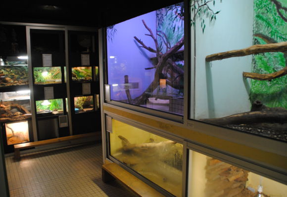 Vivarium
