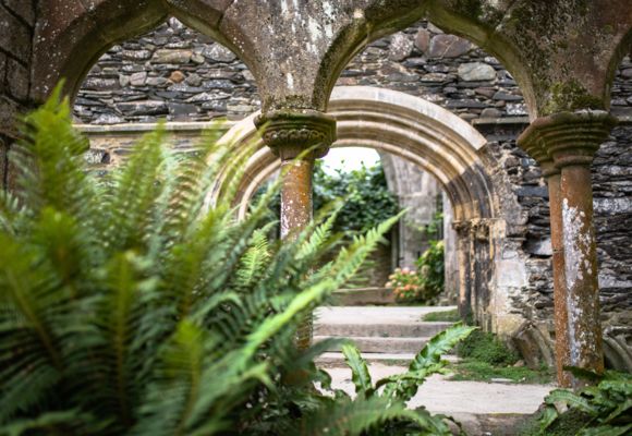 Cloître de Beauport (Paimpol-Côtes d'Armor)
