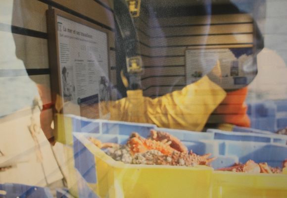 Milmarin_Ploubazlanec_Exposition Rivages partagés