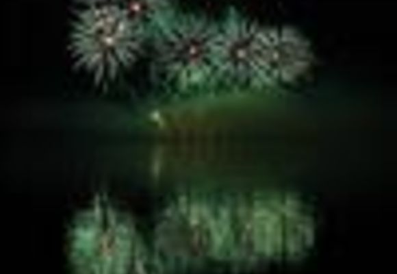 feux artifice freepik