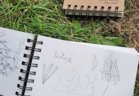 visite simple de jardins dessin botanique