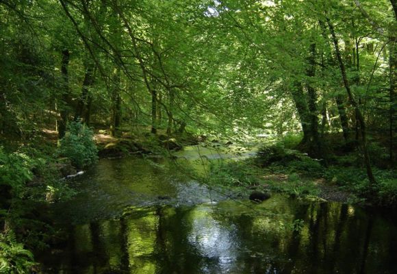 Vallée du Scorff - Pays du roi Morvan - Morbihan Bretagne Sud