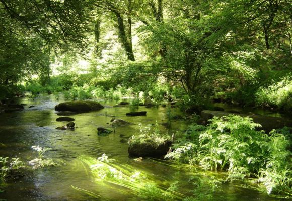 Vallée du Scorff - Pays du roi Morvan - Morbihan Bretagne Sud