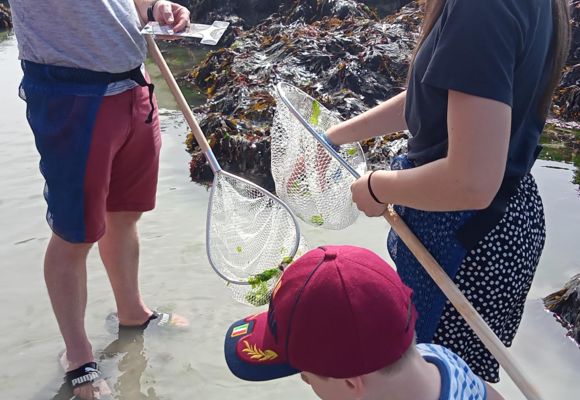 Monsieur jean , pêche à pied en famille pêche à la crevette