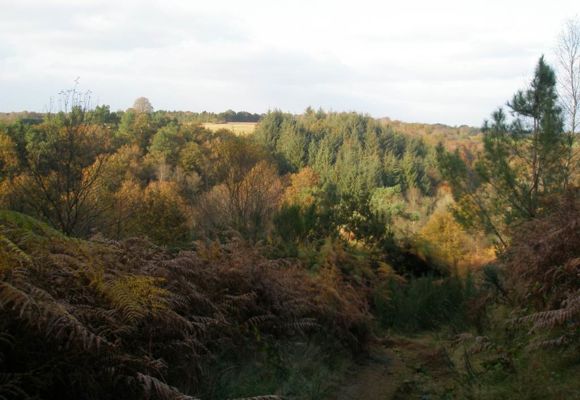 Vallée de l'Aër - Ploërdut - Morbihan Bretagne Sud