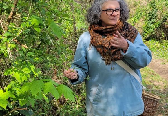 les simples de nos jardins