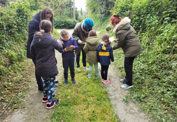 les simples de nos jardins2