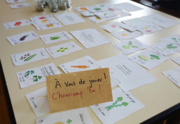 Cartes légumes 