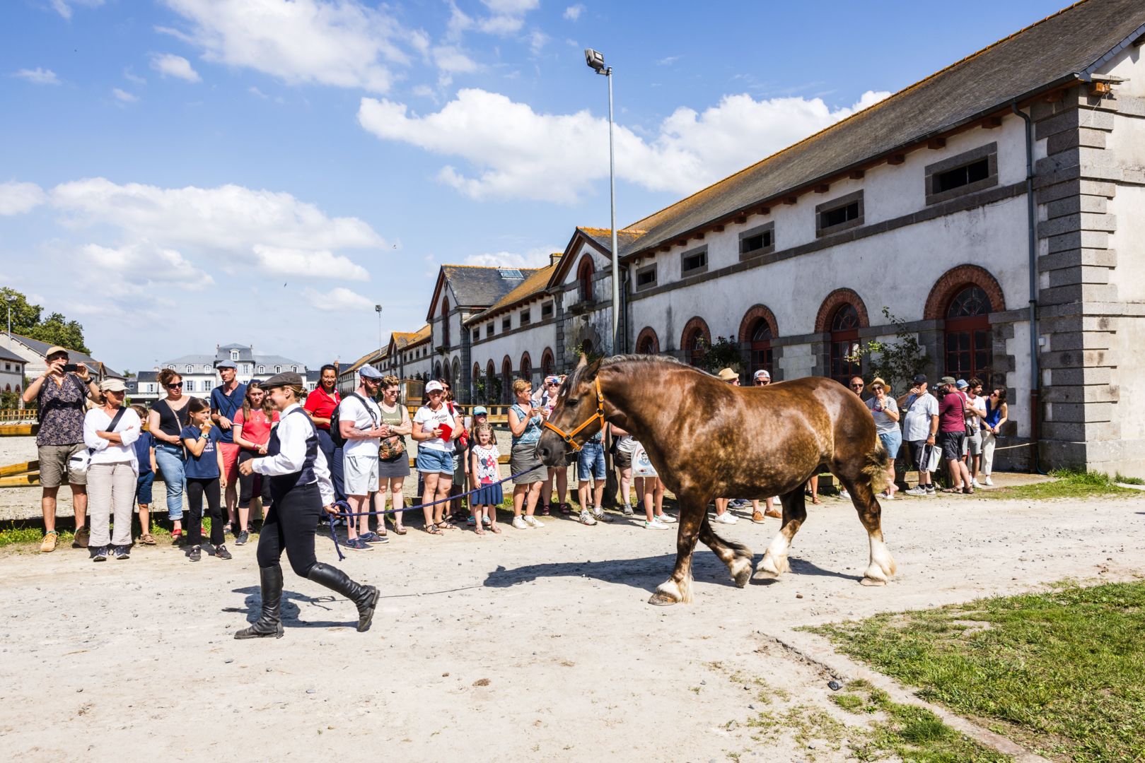 Haras National de Lamballe