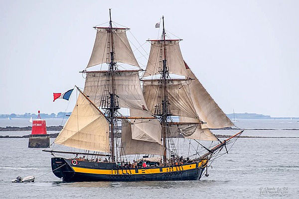 Découverte de la voile traditionnelle à bord du Phoenix