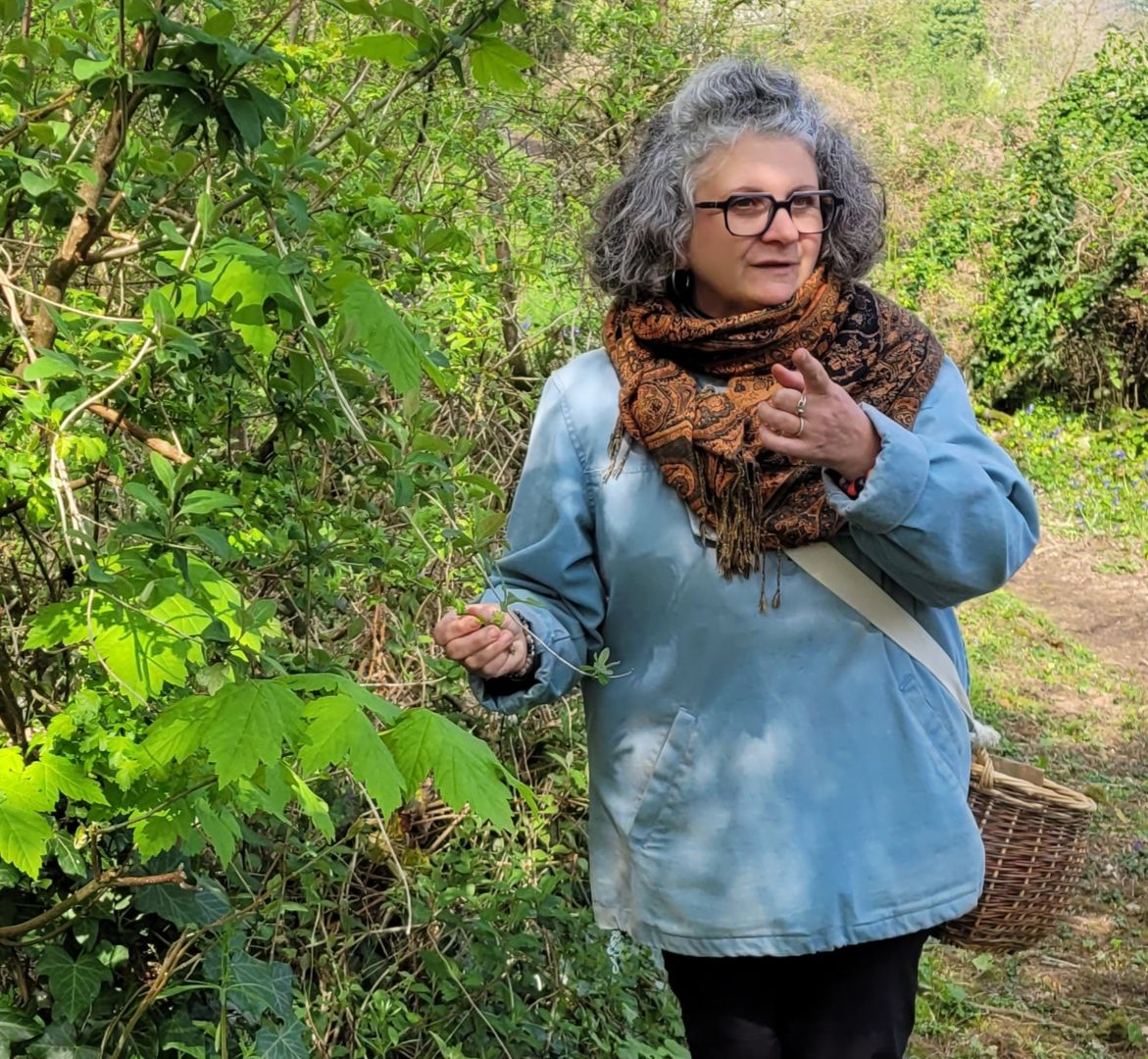 Balade découverte des plantes médicinales