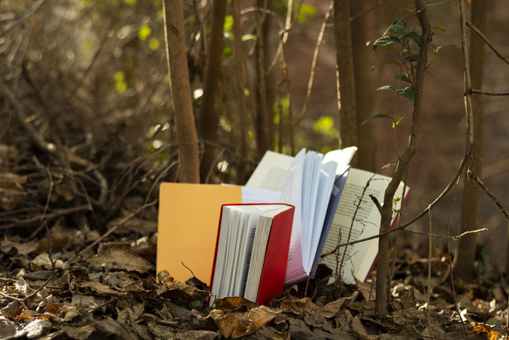 Irruptions Poétiques avec Séverine Valomet