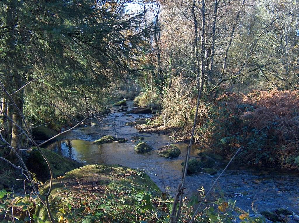 Vallée de l'Aër