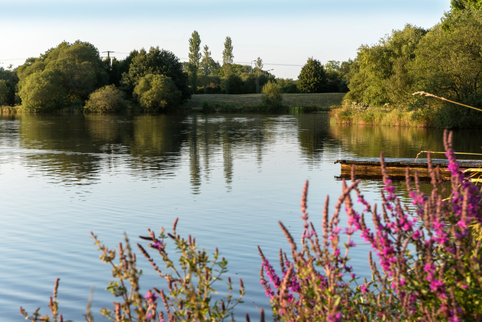 Etang d’er Lann Vras