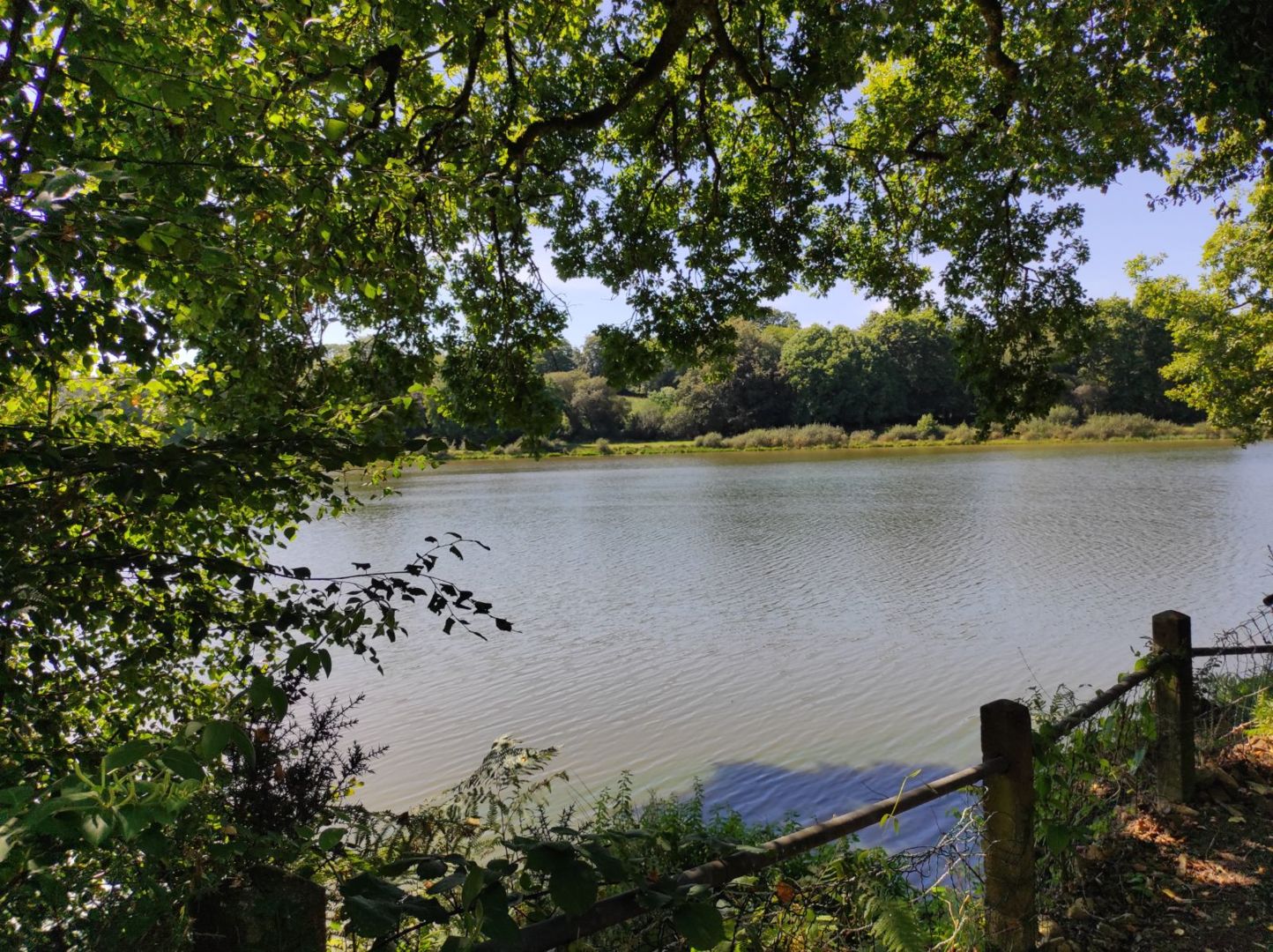 Etang du Dordu