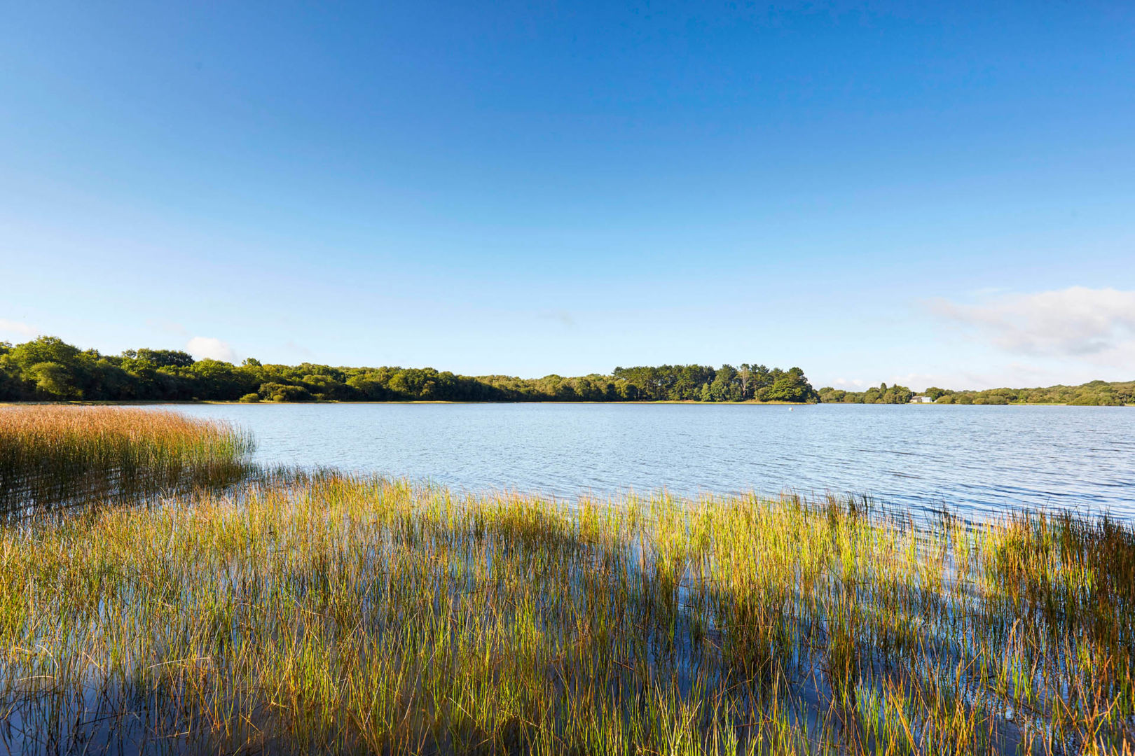 Lac du Bel Air