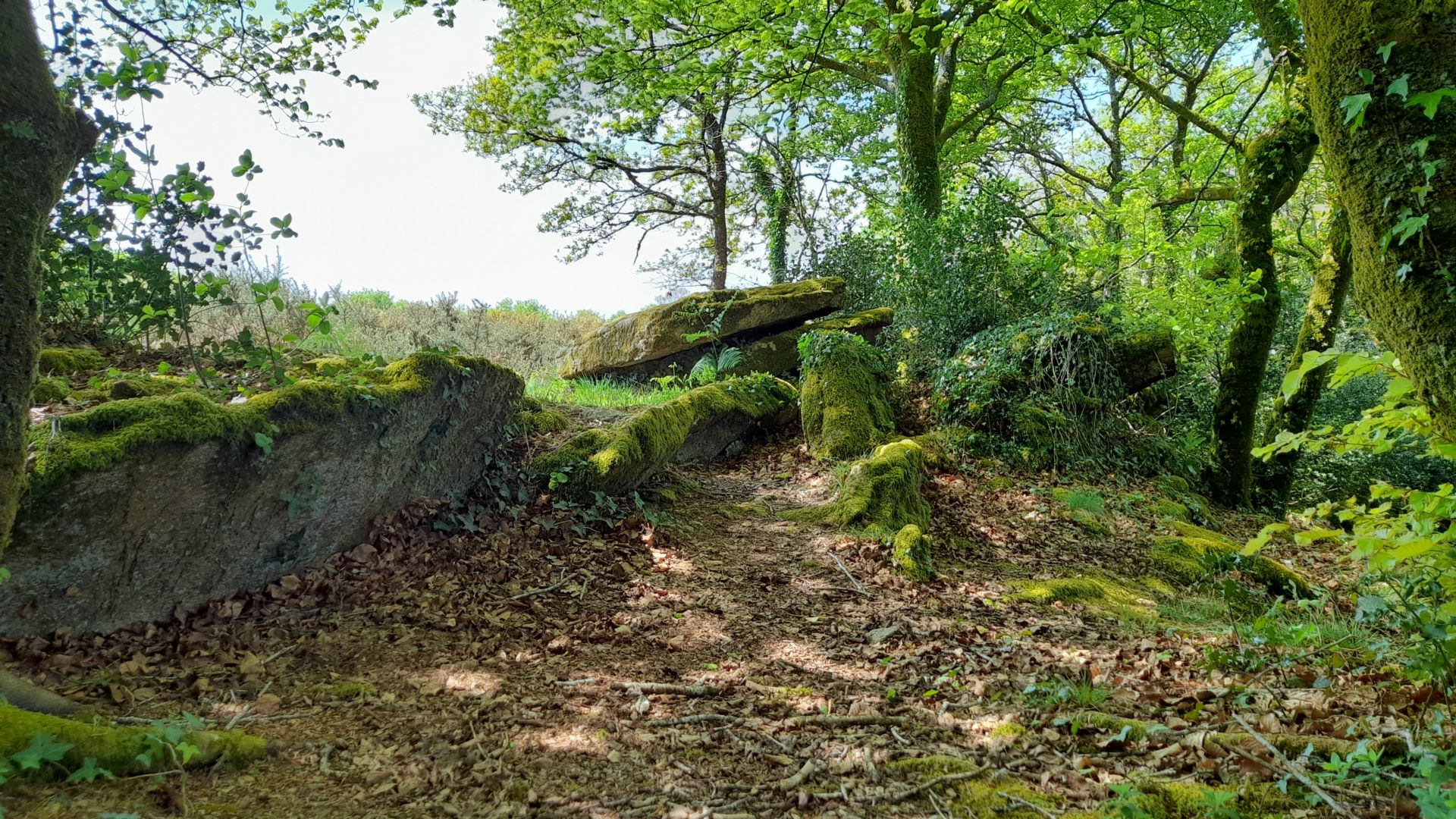 Circuit de l'allée couverte de Keroual