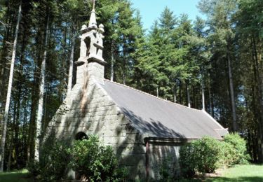 Chapelle_Lanvenegen_St_Melain_VFranciosi