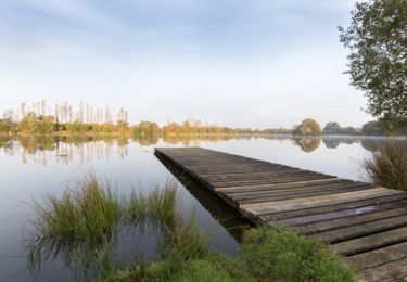 Etang Pontigou Langonnet2