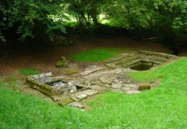 Fontaine_St_Fiacre_LeFaouet_OTPRM