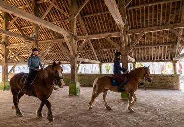 Halles du faouet equestre