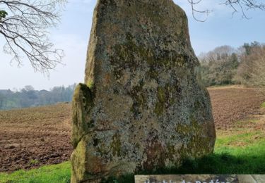 Menhir de Bodéro ©Yuna Loyer (1)