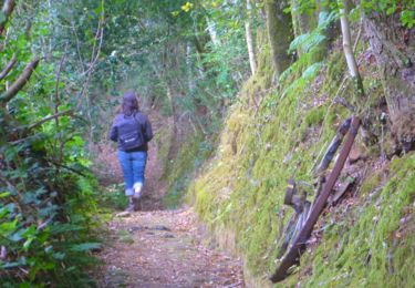 Chemin creux