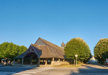 place des halles - Le Faouët 