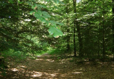 sentier randonnée