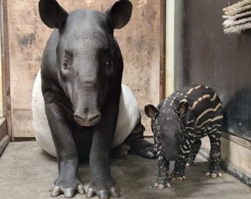 Zooparc de Trégomeur