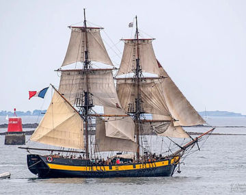 Découverte de la voile traditionnelle à bord du Phoenix