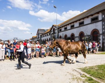 Haras National de Lamballe