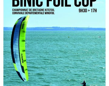 Binic Foil Cup