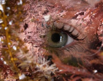 Exposition « Le goût de l’eau » de Stéphanie Pommeret