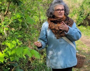 Balade découverte des plantes médicinales