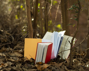 Irruptions Poétiques avec Séverine Valomet