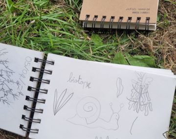 Atelier dessin aquarellé botanique en duo