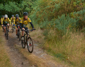 Circuit VTT de Saint-Urlo et les Asphodèles