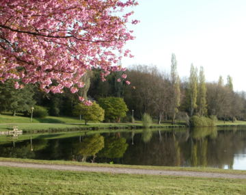 Plan d'eau de Pont ar Lenn