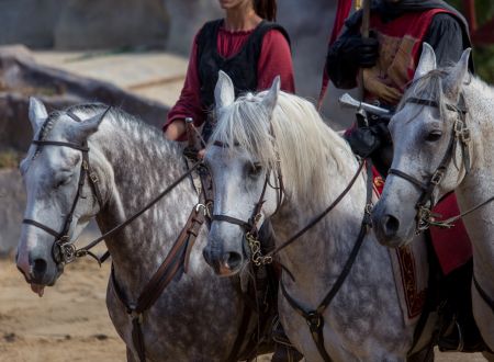 Durandal Rocamadour1_7
