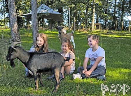 enfants_bouc_papp