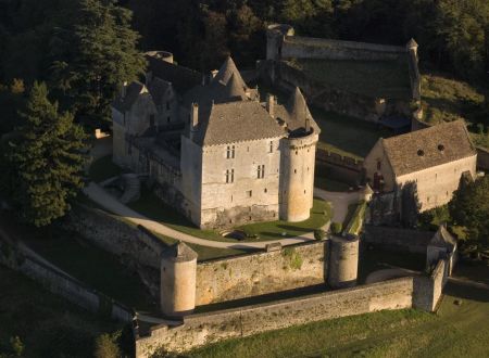 Château de Fenelon